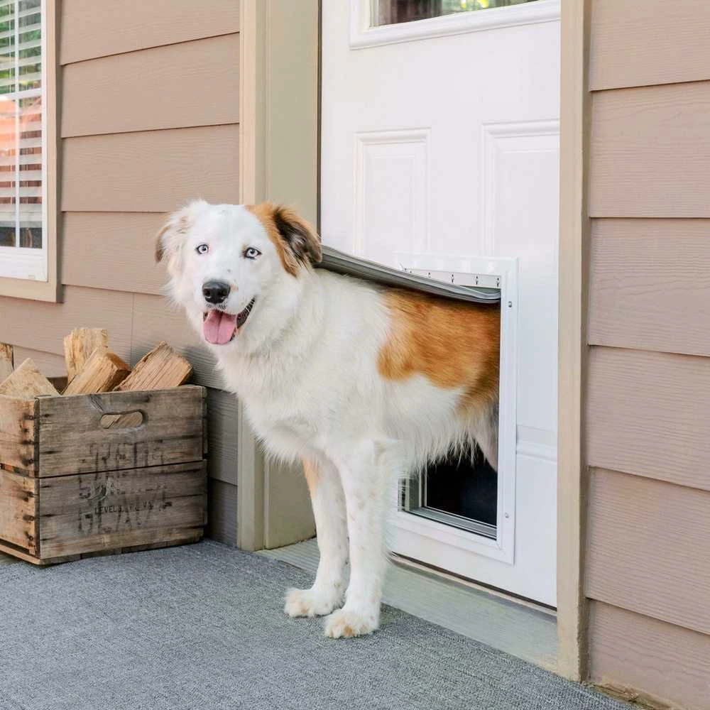 „PetSafe“ Extreme Weather aliuminio durys augintiniams – XL karščiui izoliuojantis sustiprintas metalinis įėjimas