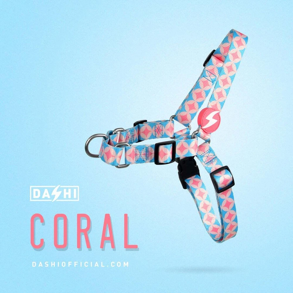 „Dashi Coral“ diržas – Norvegiškas „No-Pull“ šunų pavadėlis, rožinių apskritimų raštas, didelis dydis