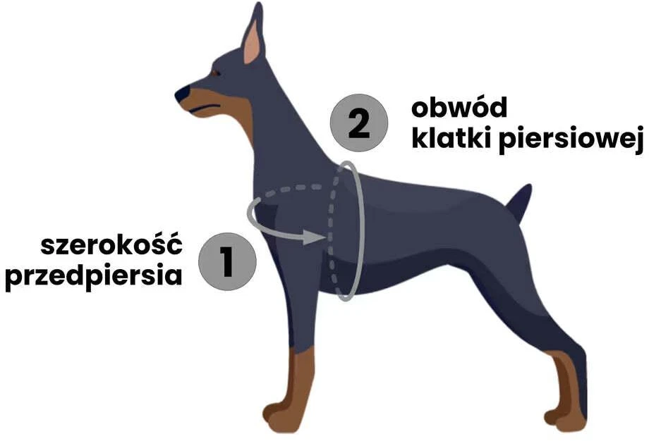 Dashi La Casa De Papel Bella Ciao Diržai Šuniui – Reguliuojamas Raudonas Apsauginis Diržas, Mažas Dydis