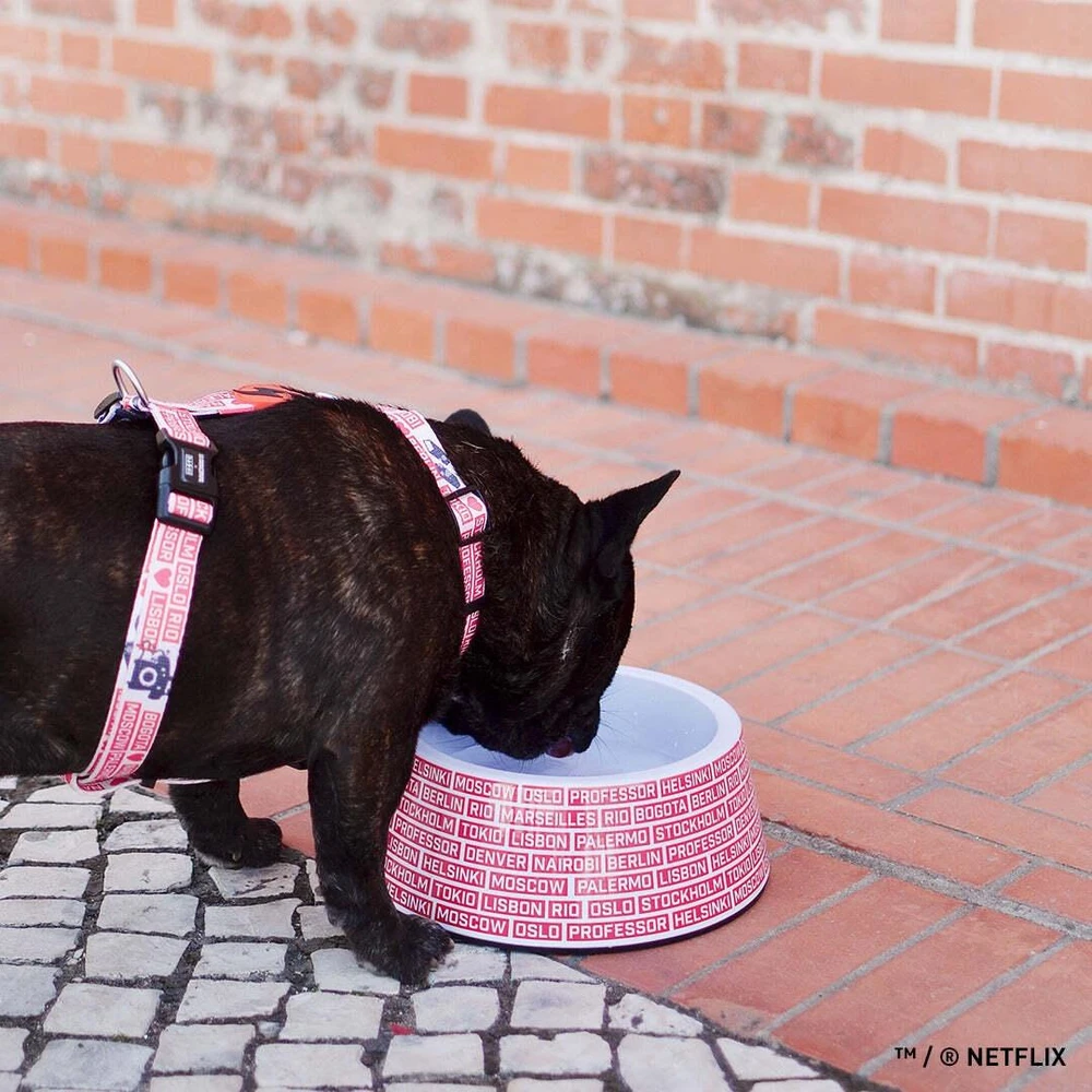 Dashi La Casa De Papel Gauja – Didelė, Patvari "Money Heist" Tematikos Dubenėlis