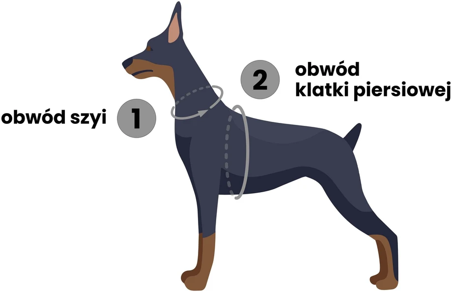 Dashi Mojo diržai – reguliuojama apsauginė apykaklė su spalvingu bangų raštu, XS dydis