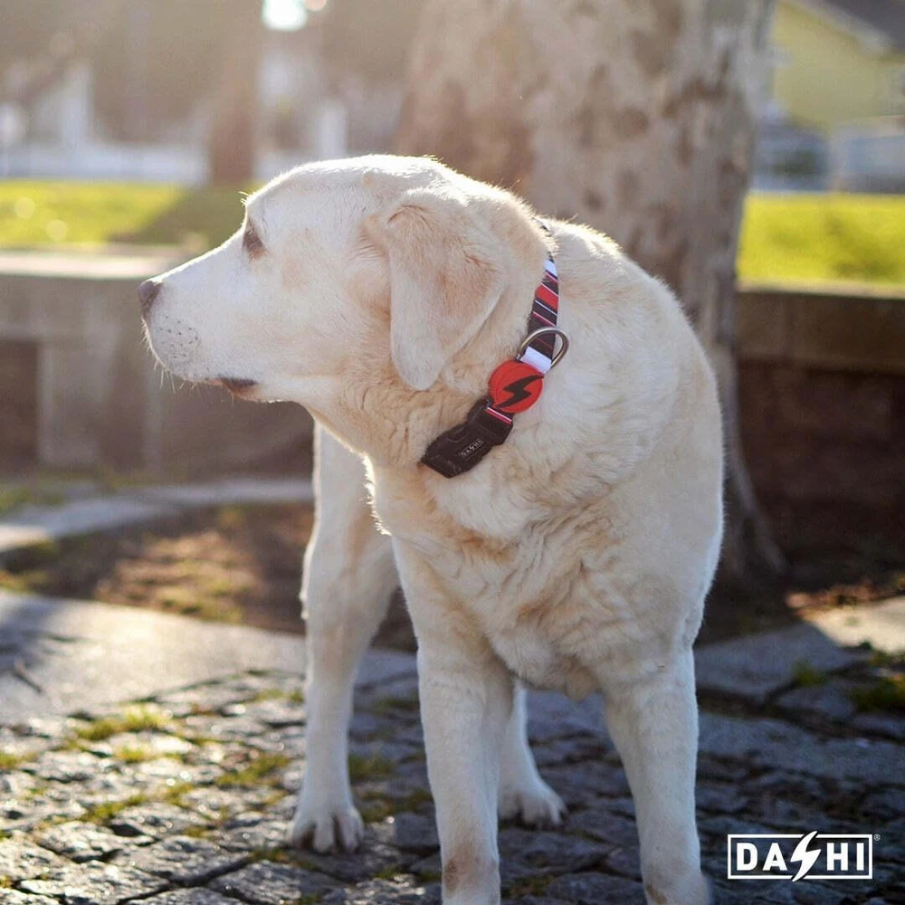 Dashi „Slide Collar“ – antkaklis su dryžuotu raštu, reguliuojamas šunų antkaklis, vidutinio dydžio, patvarus dizainas