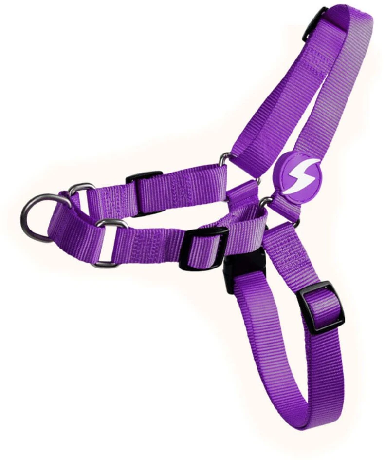 Dashi Solid Front Harness Violetinė – „No-Pull“ Norvegiškas šunų diržas, didelis, patvaraus dizaino