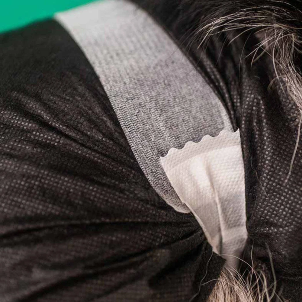 Dashi šunims skirtos sauskelnės, juodos, didelės – Patogios, nepralaidžios, vienkartinės sauskelnės, 12 vnt. pakuotė