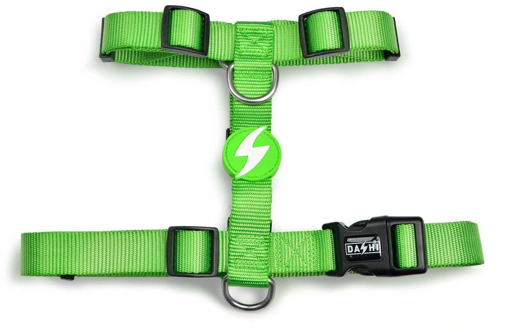 Dashi tvirtas diržas „Solid Back Harness“ žalias – reguliuojamas „Guard Dog“ diržas, vidutinio dydžio, patvarus dizainas