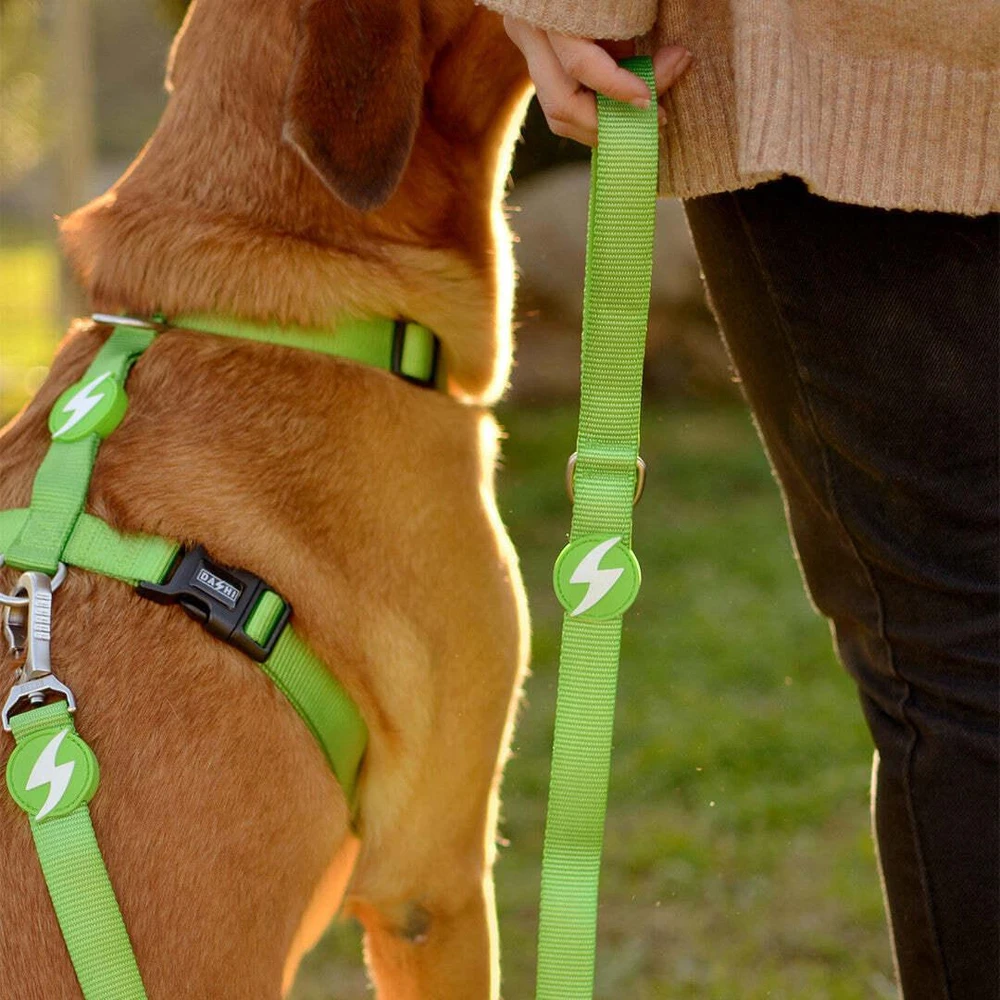 Dashi tvirtas diržas „Solid Back Harness“ žalias – reguliuojamas „Guard Dog“ diržas, vidutinio dydžio, patvarus dizainas