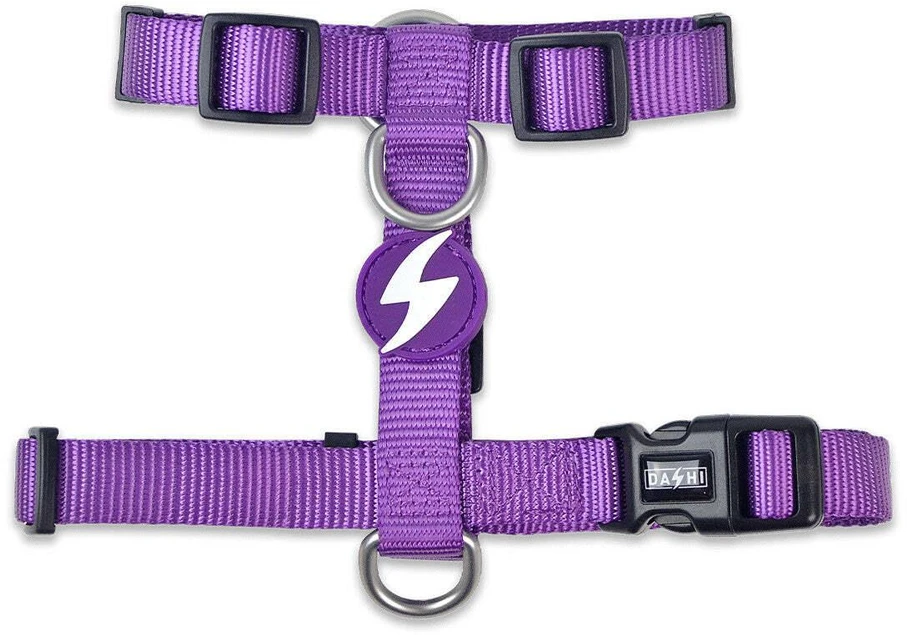 Dashi tvirtas diržas su nugara, violetinis – Reguliuojamas saugos diržas šuniui, didelis dydis, patvarus dizainas