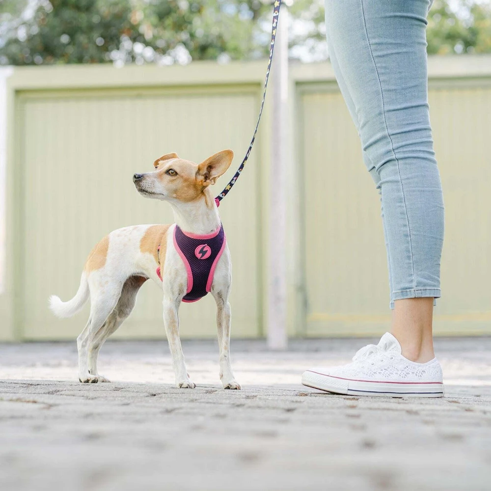 Dashi Unicorn Neo Mesh pakaitė – Dvipusė neopreno, be slėgio dizaino, su vienaragio raštu, maži dydžio – Dashi