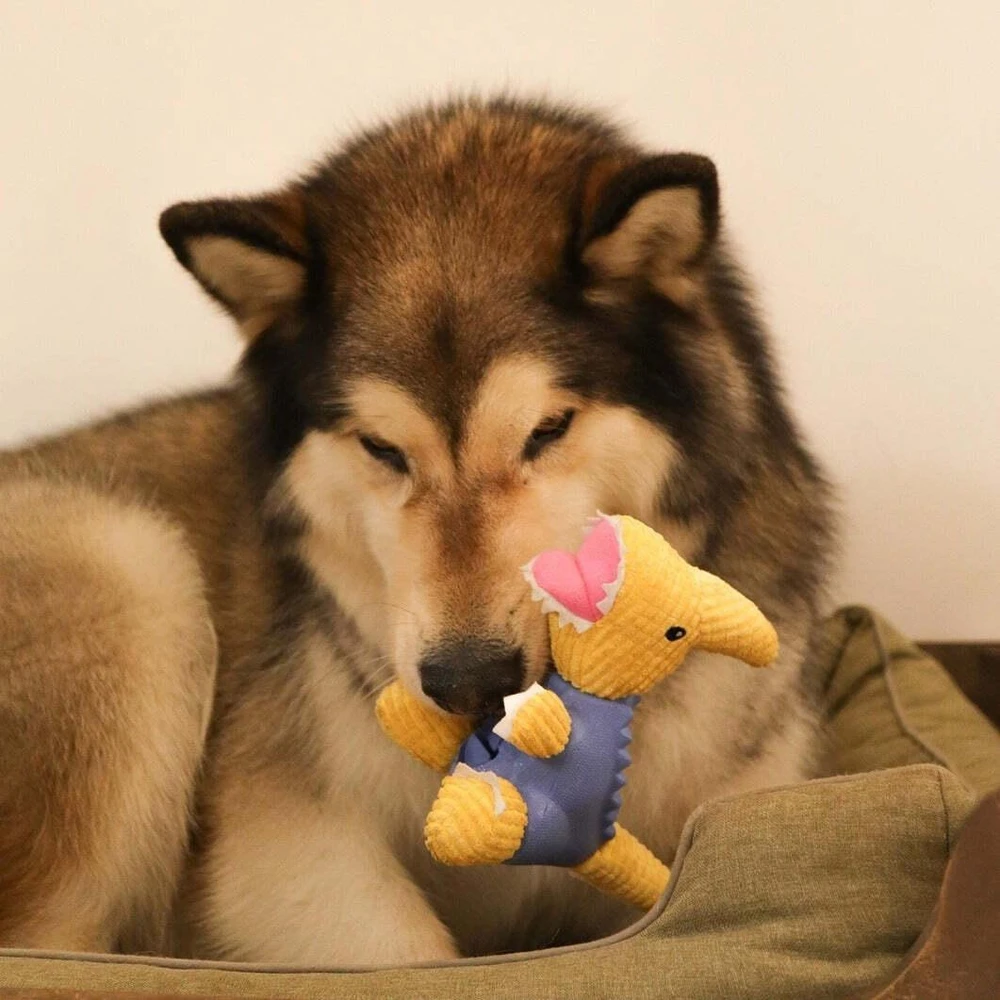 Dashi Žaislas „Parry Dino Toy“ – ėdalo angą turintis žaislas dinozauro formos, mėlynos ir geltonos spalvos, patvarus dizainas. Dashi