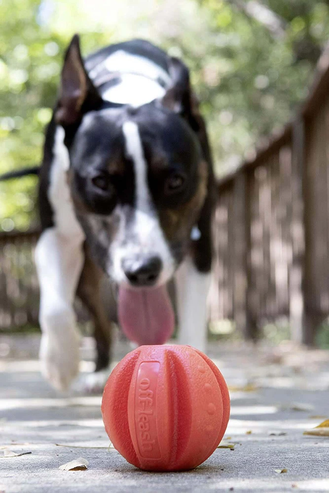 Dexas „Off-Leash“ plaukiojantis kamuolys – patvarus vandens žaislas su karabino tvirtinimu, didelio matomumo dizainas