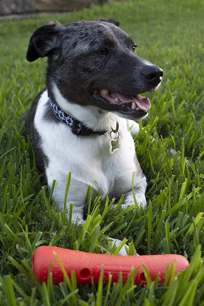 Dexas Off-Leash Tumbler Kamuolės žaislas – tvirtas interaktyvus kamuolys su karabino spaustuko tvirtinimu