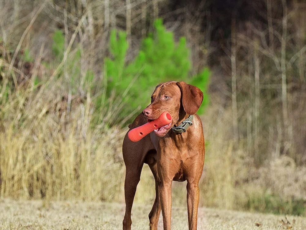 Dexas Off-Leash Tumbler Kamuolės žaislas – tvirtas interaktyvus kamuolys su karabino spaustuko tvirtinimu