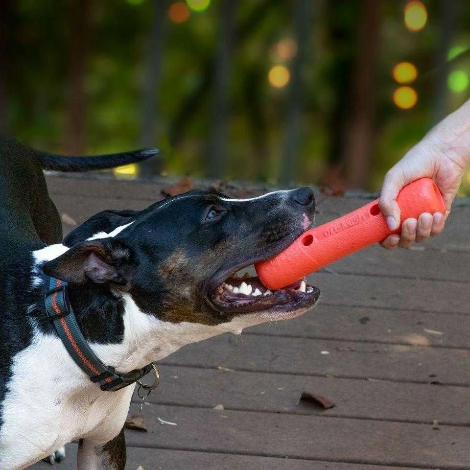 Dexas Off-Leash Tumbler Kamuolės žaislas – tvirtas interaktyvus kamuolys su karabino spaustuko tvirtinimu