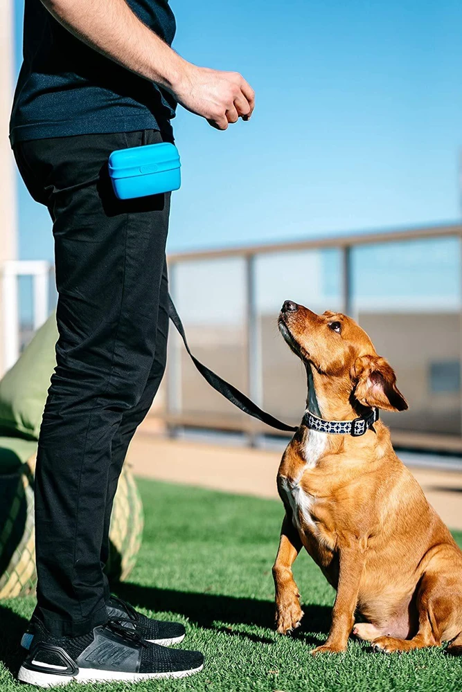 Dexas Pooch Pouch Silikoninis skanėstų laikiklis – Inovatyvus patogus dizainas, mėlynos spalvos