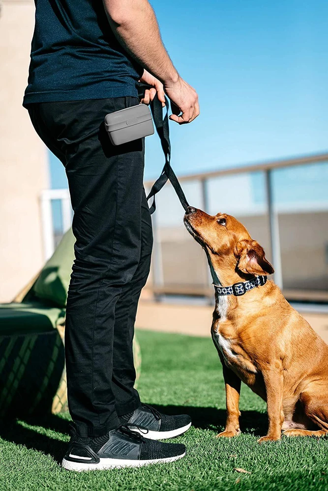 Dexas Pooch Pouch Silikoninis skanėstų laikiklis – Inovatyvus patogus dizainas, mėlynos spalvos