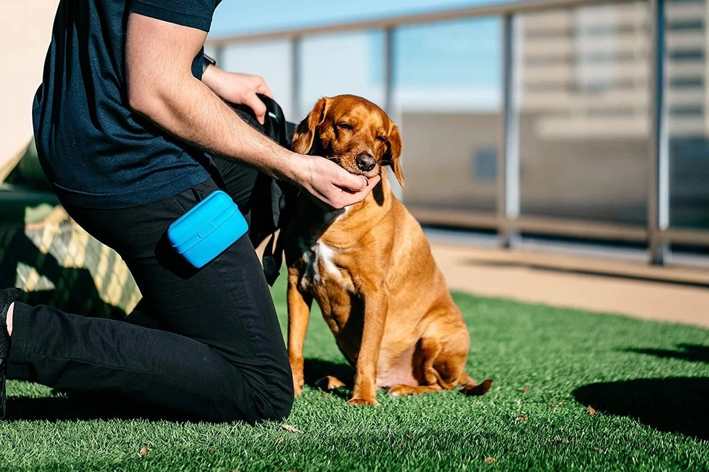 Dexas Pooch Pouch Silikoninis skanėstų laikiklis – Inovatyvus patogus dizainas, mėlynos spalvos