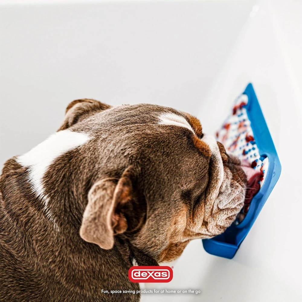 Dexas Snack & Distract silikoninis laižymo kilimėlis su kišene – Horizontalus mėlynas, raminantis dizainas
