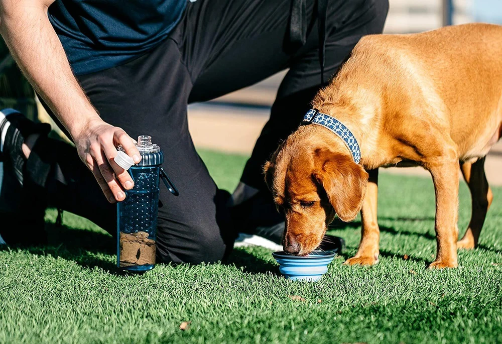 „Dexas Snack-Duo“ dviejų kamerų butelis – maisto ir vandens laikymui su silikoniniu dubenėliu, fuksija