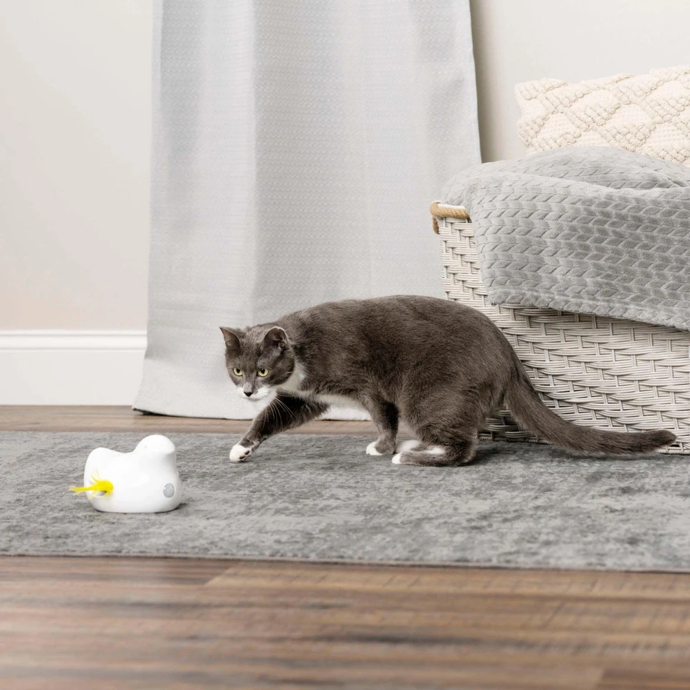 PetSafe Peek-a-Bird™ elektroninis katės žaislas