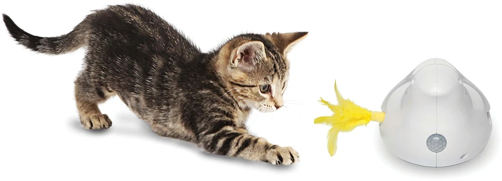 PetSafe Peek-a-Bird™ elektroninis katės žaislas