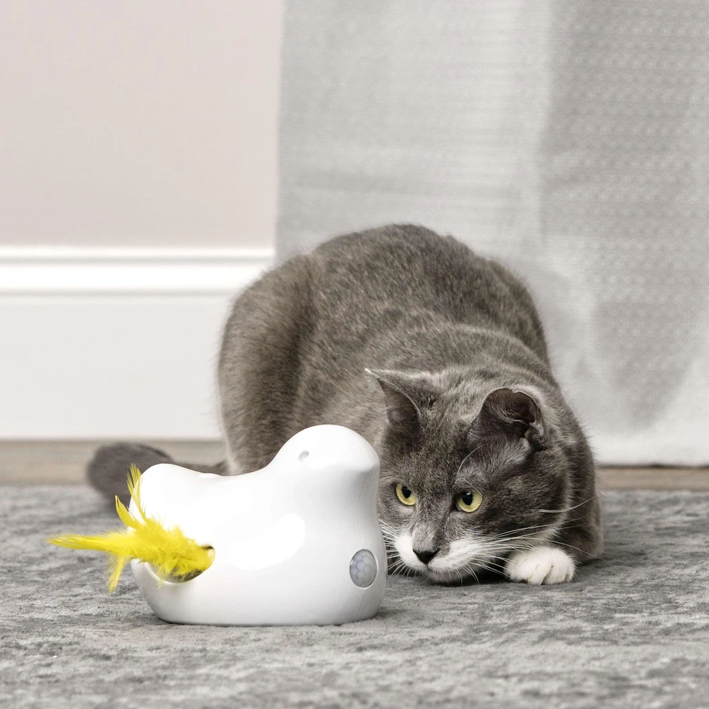 PetSafe Peek-a-Bird™ elektroninis katės žaislas