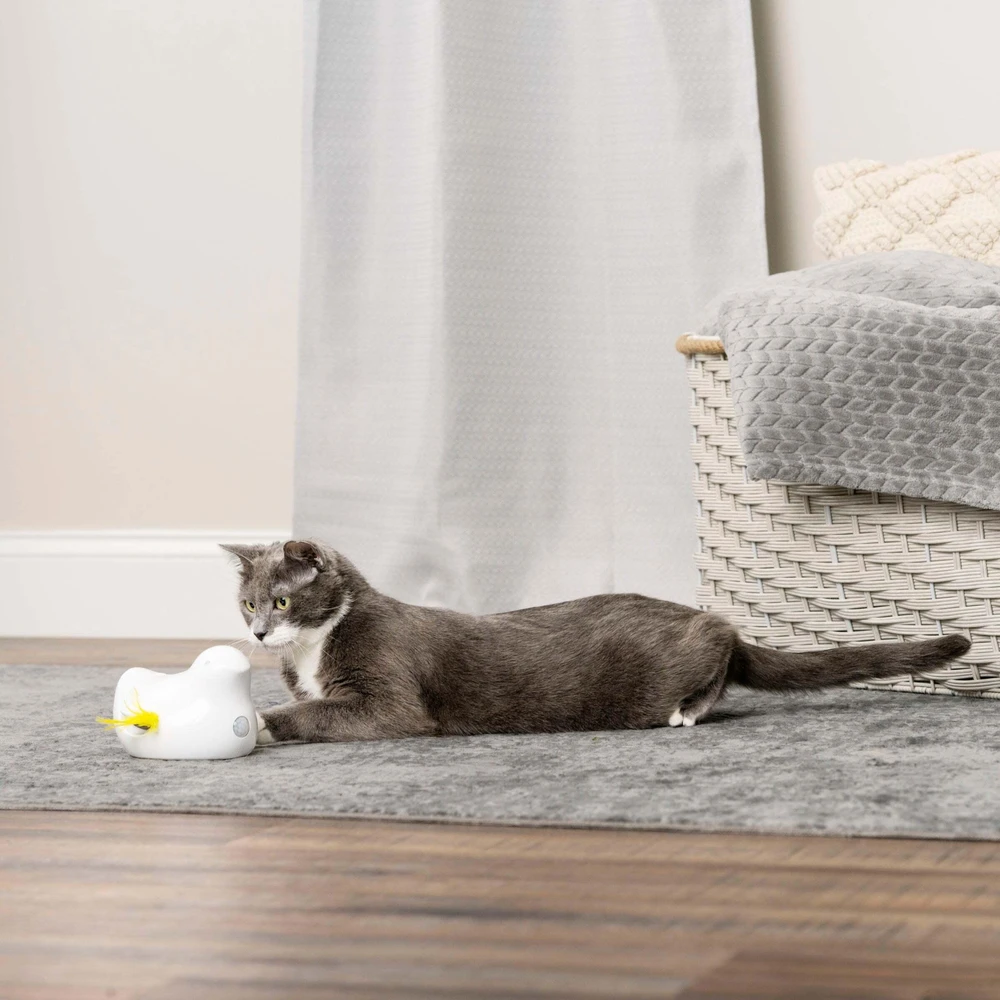 PetSafe Peek-a-Bird™ elektroninis katės žaislas