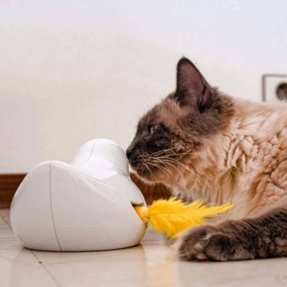 PetSafe Peek-a-Bird™ elektroninis katės žaislas