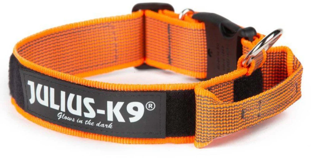 Julius K9 Color&Gray Diržas su rankena – 40mm pločio, saugos užraktas, juodas, patvarus dizainas