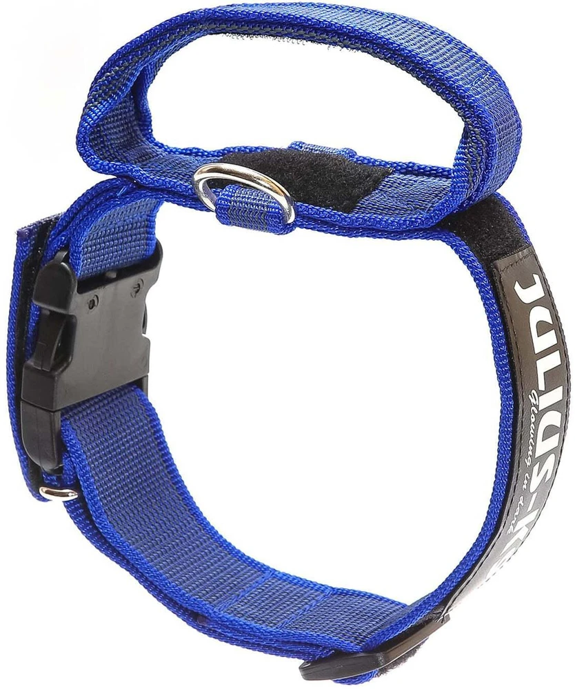 Julius K9 Color&Gray Diržas su rankena – 40mm pločio, saugos užraktas, juodas, patvarus dizainas