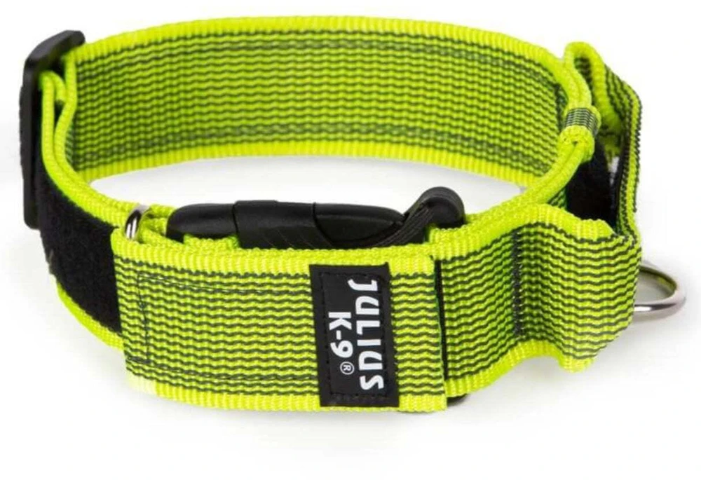 Julius K9 Color&Gray Diržas su rankena – 40mm pločio, saugos užraktas, juodas, patvarus dizainas