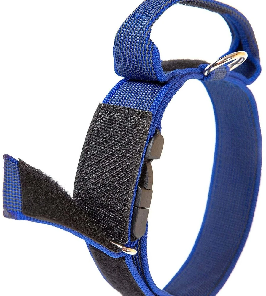 Julius K9 Color&Gray Diržas su rankena – 40mm pločio, saugos užraktas, juodas, patvarus dizainas