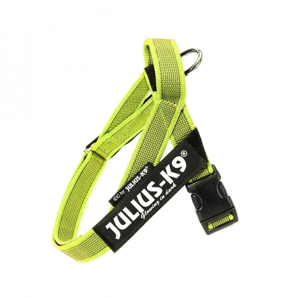 Julius-K9 Color&Gray Neon diržų pakabukas – reguliuojamas mini dydis, itin matomas dizainas