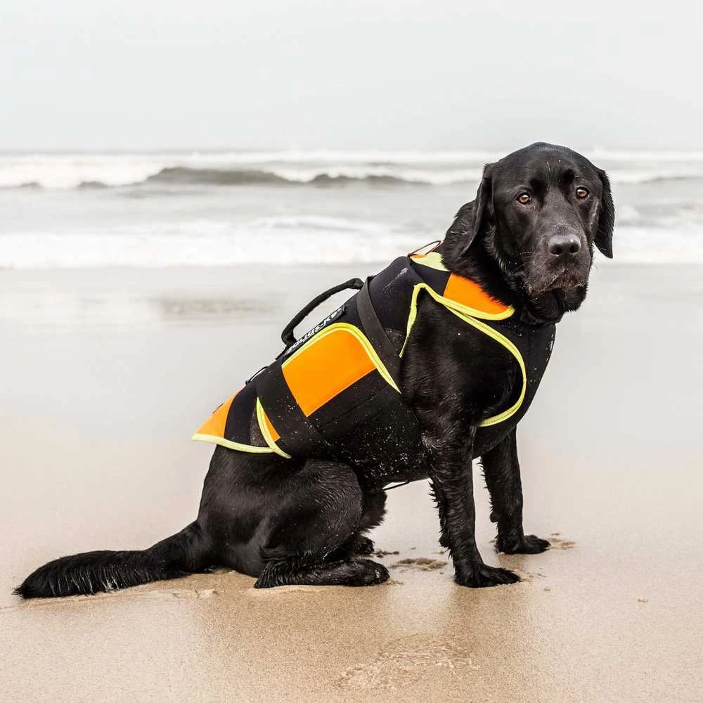 Julius-K9 Daugiafunkcinė Oranžinė Liemenė – Plūdrumą Didinanti, Palaikanti Maudymosi ir Reabilitacijos Pagalbinė Priemonė, Dydis L
