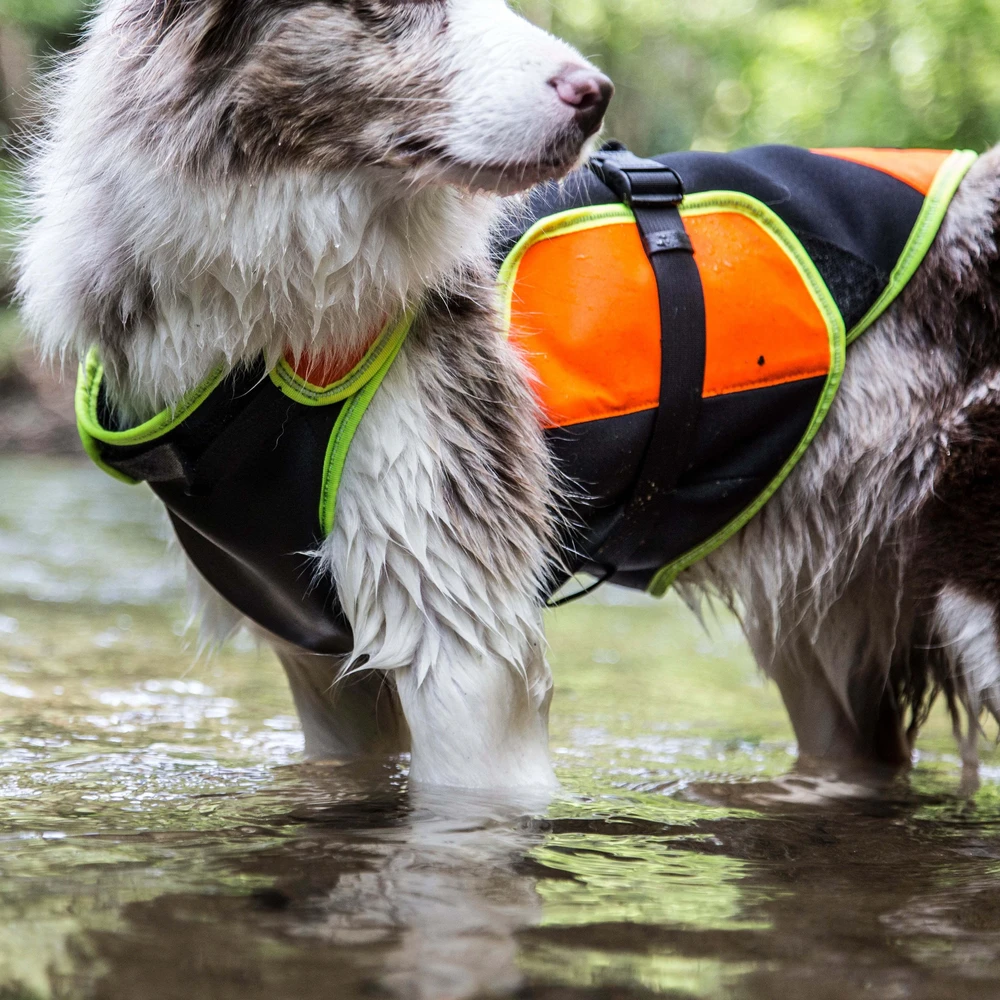 Julius-K9 Daugiafunkcinė Oranžinė Liemenė – Plūdrumą Didinanti, Palaikanti Maudymosi ir Reabilitacijos Pagalbinė Priemonė, Dydis L