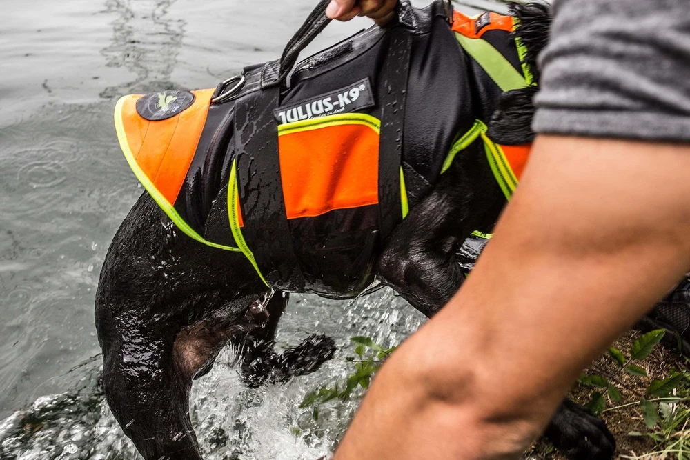 Julius-K9 Daugiafunkcinė Oranžinė Liemenė – Plūdrumą Didinanti, Palaikanti Maudymosi ir Reabilitacijos Pagalbinė Priemonė, Dydis L