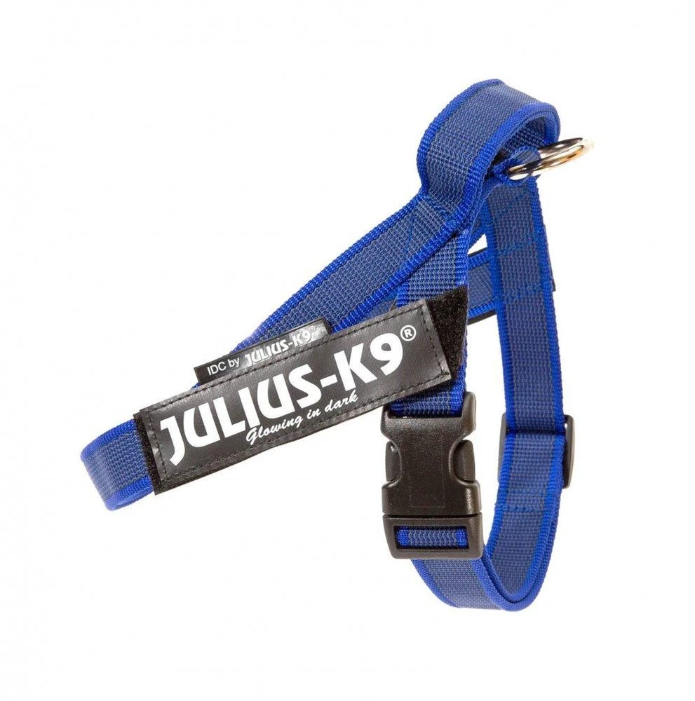 Julius-K9 IDC Color&Gray Dirželis Mėlynas – Mini dydžio, reguliuojamas, patvarus dizainas