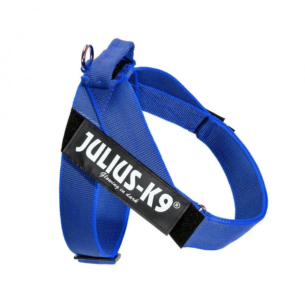 Julius-K9 IDC Color&Gray Dirželis Mėlynas – Mini dydžio, reguliuojamas, patvarus dizainas