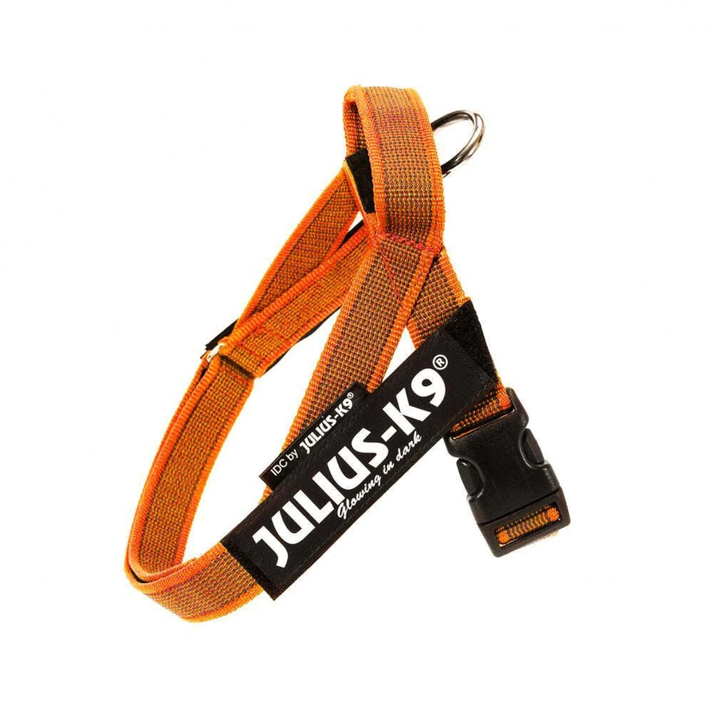 Julius-K9 IDC Color&Gray Dirželis Oranžinis – Reguliuojama lengva miniatiūrinė šunų pavadėlio dirželis