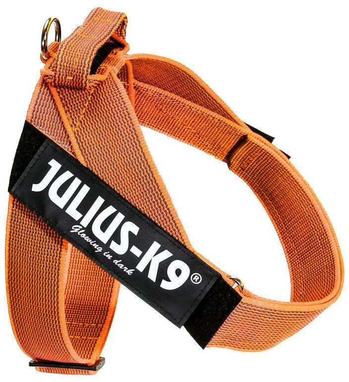 Julius-K9 IDC Color&Gray Dirželis Oranžinis – Reguliuojama lengva miniatiūrinė šunų pavadėlio dirželis