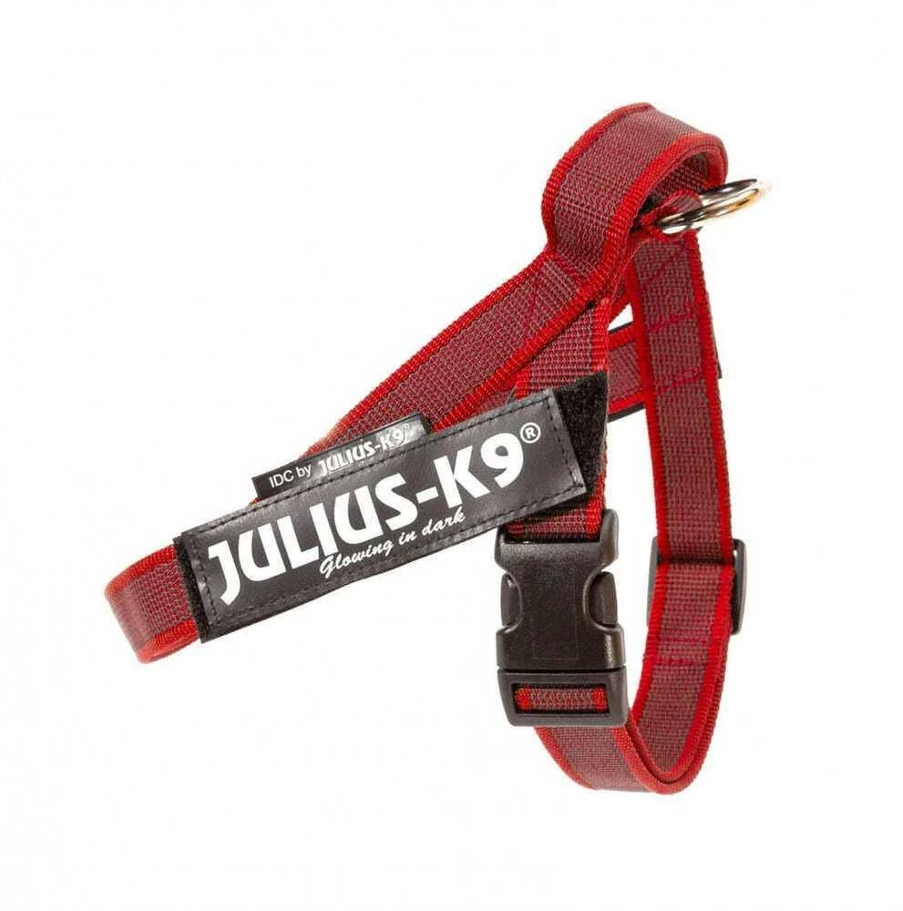 Julius-K9 IDC Color&Gray Dirželis Rauudonas – Reguliuojamo Mini-Mini Dydžio, Patvaraus Dizaino