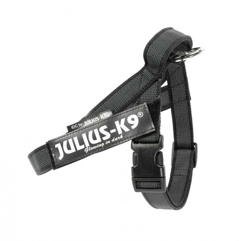 Julius-K9 IDC Color&Gray Diržo tipo antkaklis – Reguliuojamas juodas mini antkaklis su patvariomis juostelėmis.