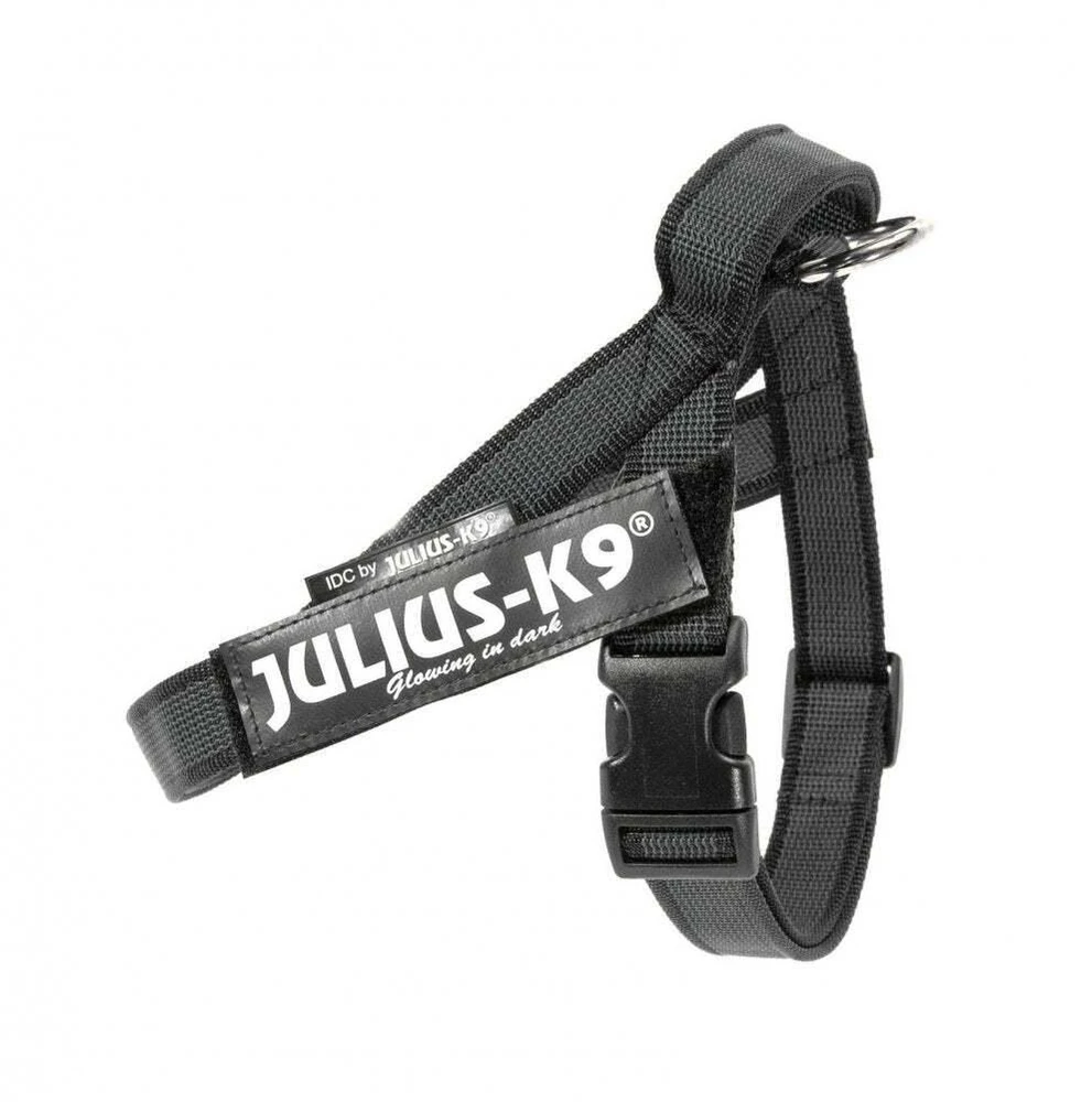 Julius-K9 IDC Color&Gray Diržo tipo antkaklis – Reguliuojamas juodas mini antkaklis su patvariomis juostelėmis.