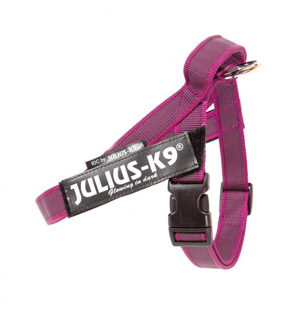 Julius-K9 IDC Color&Gray Diržo tipo pakinktai Rožinė – Fuksija Mini-Mini, Reguliuojamo ir patvaraus dizaino