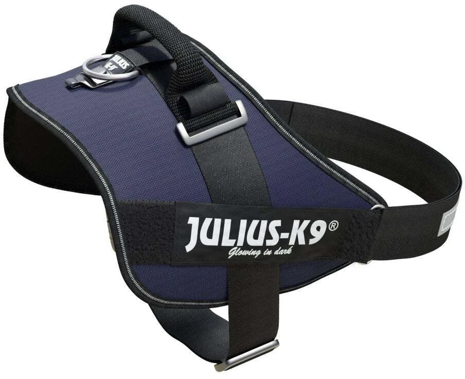 Julius-K9 IDC Džinsinis šunų pavadėlis – Kokybiškas, reguliuojamas, džinsinio stiliaus pavadėlis, 0 dydžio
