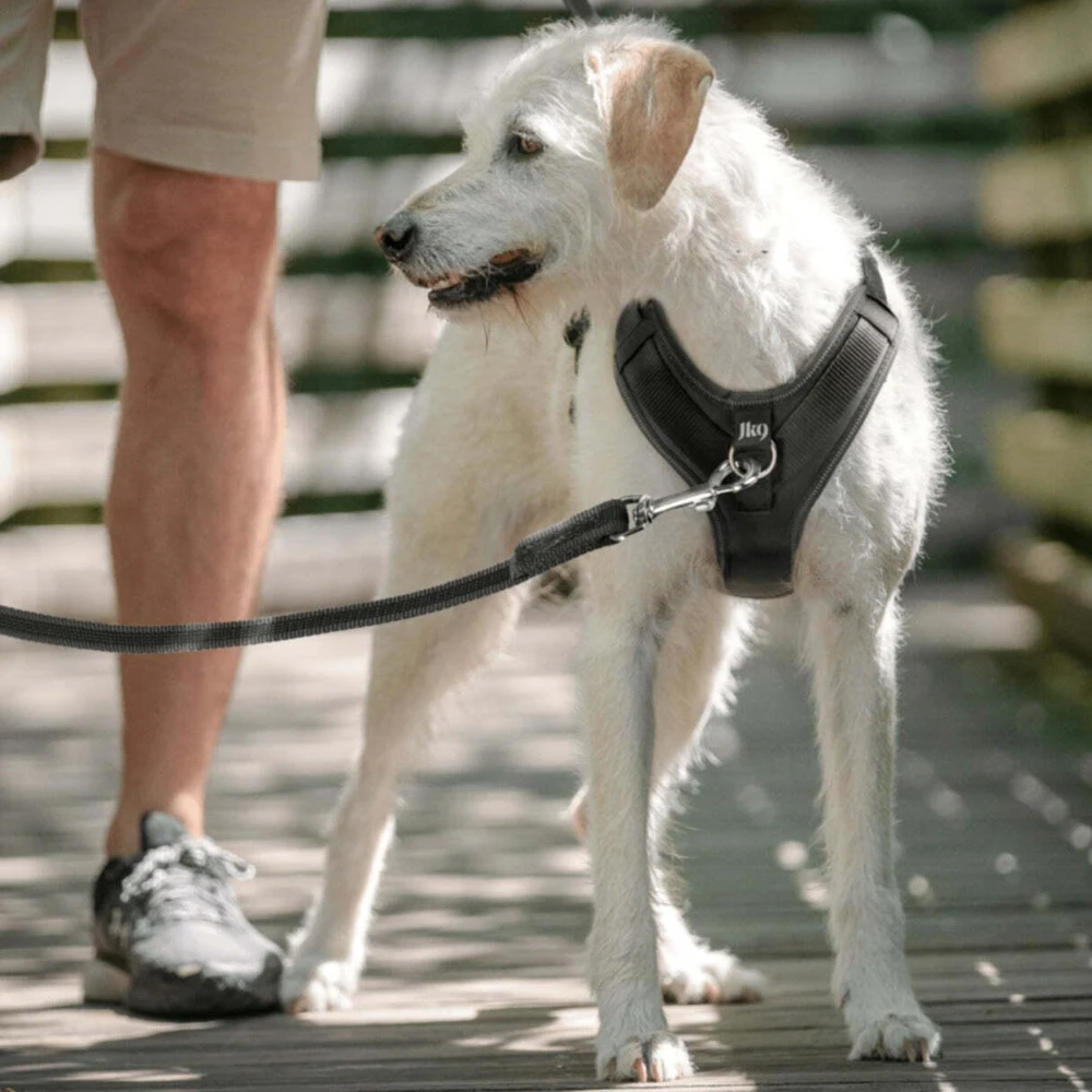 Julius-K9 IDC Longwalk Light Harness Night Camo – Lengvas trekingo pakabinamas diržas su GPS kišene, Dydis M
