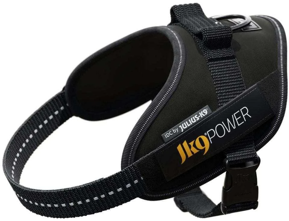 Julius-K9 IDC pakabinamas diržas juodas – Premium reguliuojamas diržas, patvarus dizainas, 4 dydis