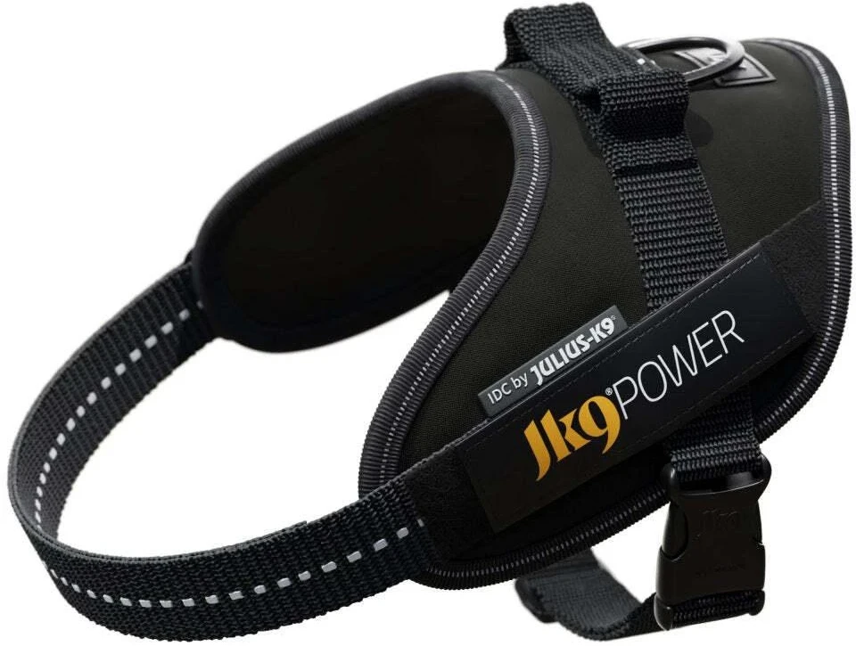 Julius-K9 IDC pakabinamas diržas juodas – Premium reguliuojamas diržas, patvarus dizainas, 4 dydis