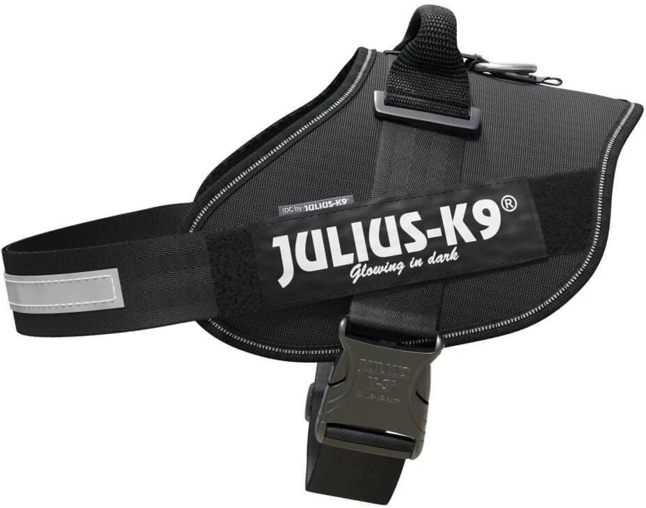 Julius-K9 IDC pakabinamas diržas juodas – Premium reguliuojamas diržas, patvarus dizainas, 4 dydis