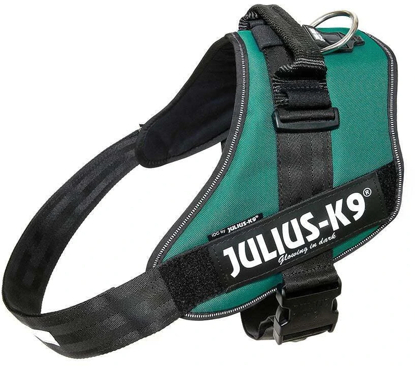 Julius-K9 IDC Pakabinamas diržas Tamsiai žalias – Premium reguliuojamas diržas, ilgaamžiškas dizainas, 4 dydis