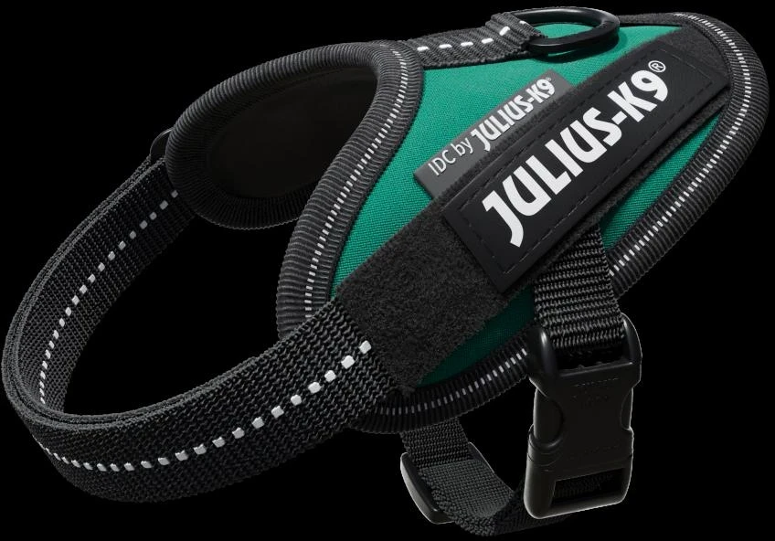 Julius-K9 IDC Pakabinamas diržas Tamsiai žalias – Premium reguliuojamas diržas, ilgaamžiškas dizainas, 4 dydis